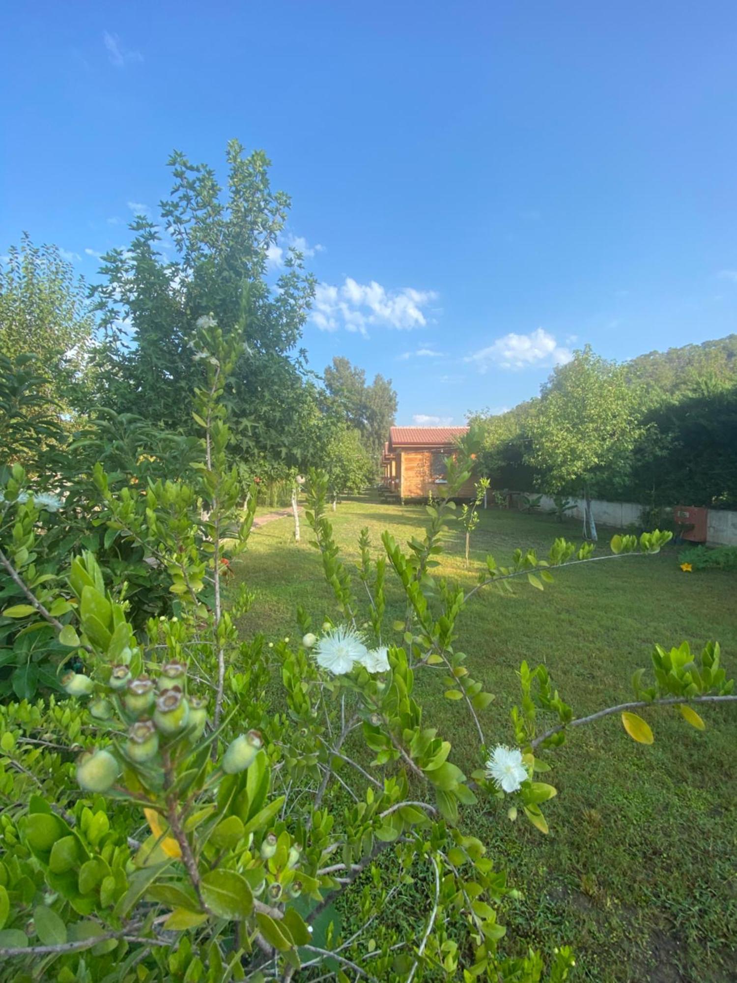 Inlice Uenzile Bungalow Inlice Kamp Fethiye Exteriér fotografie